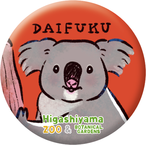 Nagi] Koala Badge 005 Daifuku | Japan Finds