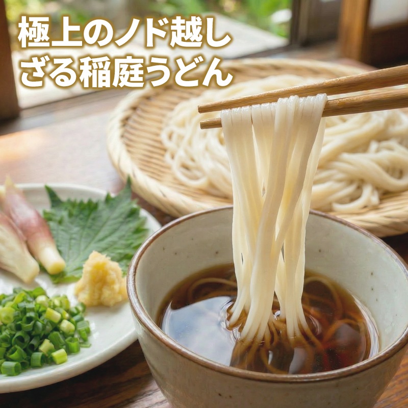Inaniwa U Frozen Inaniwa Udon 100g x 10 pcs (Free Shipping) | Japan Finds