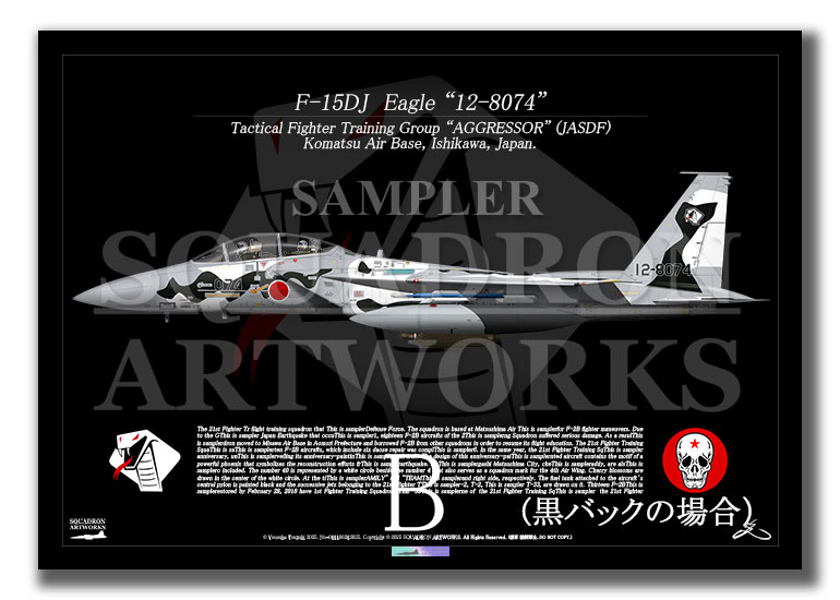 F-15DJ Eagle Air Combat Training Aggressor 